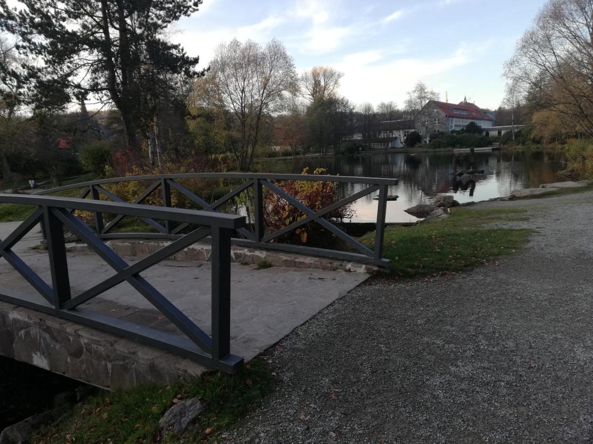 Guglhupf Wohlfuehl-Maisonette Mit Boxspring, Disney, Netflix Braunlage Kültér fotó